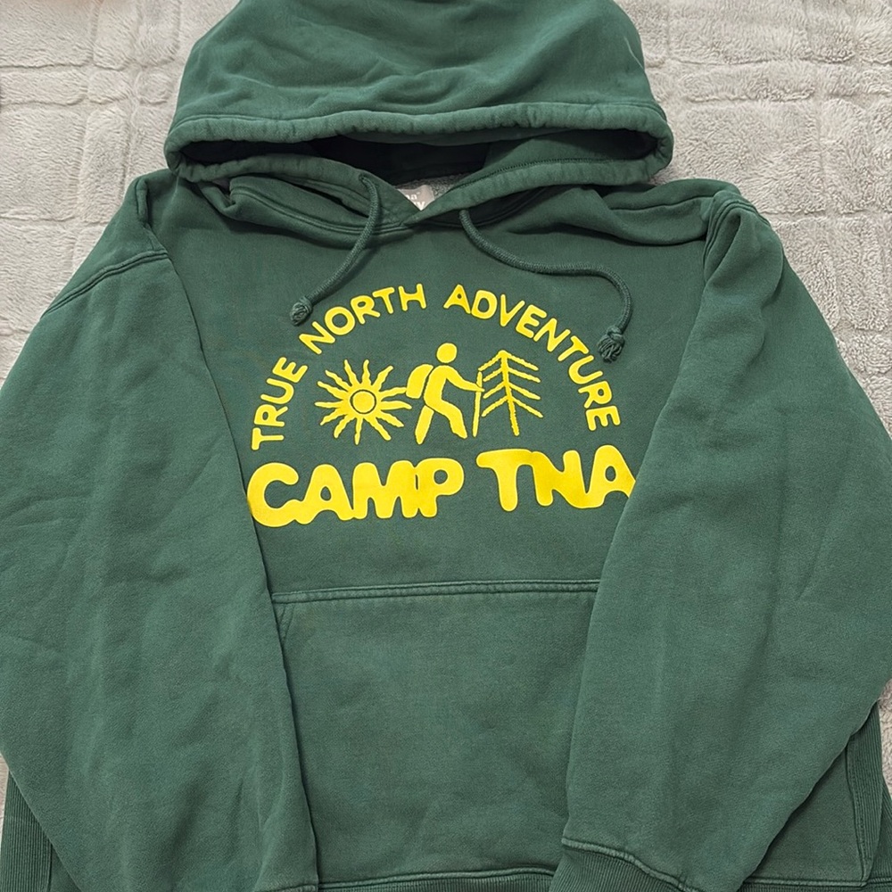 aritzia tna graphic boyfriend hoodie